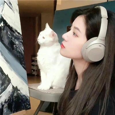 失忆缉凶